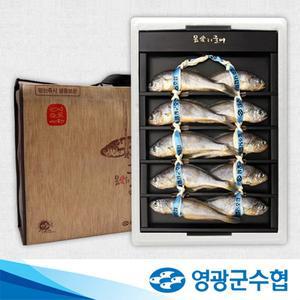 [영광군수협][명절 후 배송][영광군수협]법성포 영광 굴비 오가 선물세트 1.0kg(10미) / 부직포가방 포장