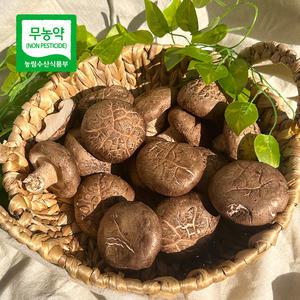 당일수확 무농약 장흥 생표고버섯 1kg 가정용 상품 특품