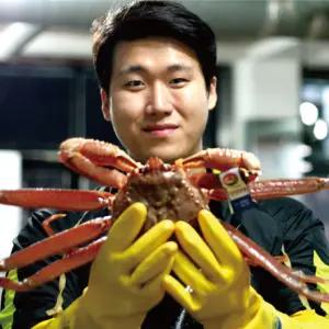 [대한민국농수산] 수율보장 국내산 자숙 연지 홍게 3kg