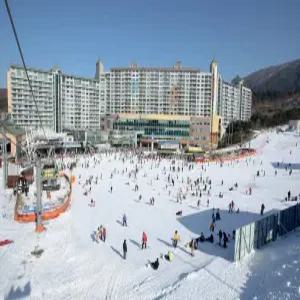 웰리힐리파크 리조트