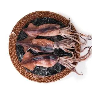 수산천하 더 커진 국내산 손질 통오징어 14미