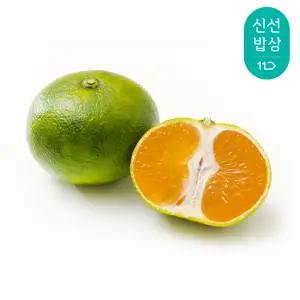 [품질보장]제주 노지 감귤 5kg 소과로얄(2S-S/M)