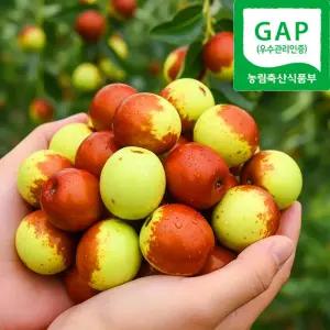 [GAP인증]초고당도 프리미엄등급 아삭한 사과대추 500g~1kg