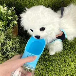 [콩심팥심]딩동이네 산책 물병 물통 강아지물병 강아지 휴대용