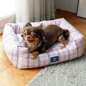 [콩심팥심]방석 핑크 파스텔 사각 도그포즈 강아지 체크