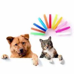 [콩심팥심]목걸이 PET 12색 고양이 인식표 새끼강아지목걸이 새