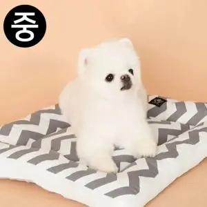 [콩심팥심]데일리 강이지 도그포즈 그레이지그재그 365 침대 베