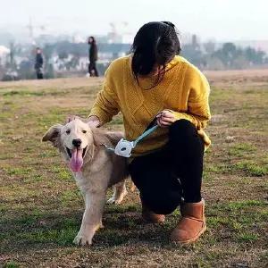 [콩심팥심]강아지리드줄 L 이지고 강아지산책줄