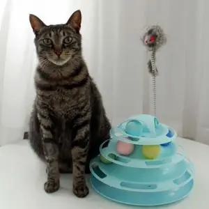 [콩심팥심]트랙 고양이공놀이 고양이 4단 고급형 뚜또가또 고양