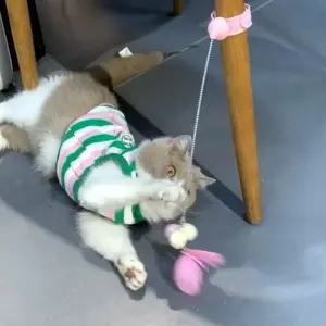 [콩심팥심]고양이깃털장난감 낚시대 사냥놀이 착감김 깃털 PET