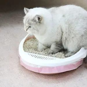 고양이 배변 비닐 봉투 3롤 세트 고양이 배변 봉투 (WFIX8H4)