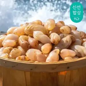 1년 중 가장 부드러운 당일바리 제철 햇 오만둥이 2kg (횟감용 신선도)