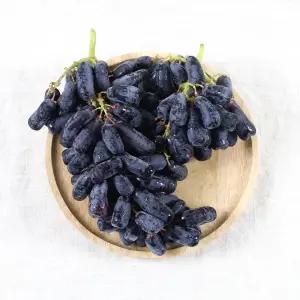 블랙사파이어 프리미엄포도 1kg
