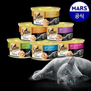 쉬바 캔 24개 골라담기+고양이 낚시대+베베숲물티슈1팩