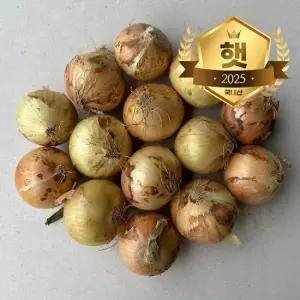 25년 국내산 햇 양파 5kg(특/요리용)
