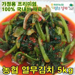 화원농협 이맑은 열무김치 5kg 맛있는 해남열무 얼간이 김치 주문