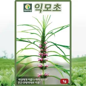 다농 익모초 씨앗 1g 익모초씨 육모초 약초 종자