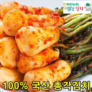 해남 화원농협 이맑은김치 총각김치 3kg 순국산양념재료 100%