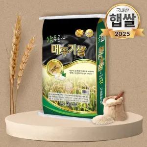25년 푸드앤픽 참푸른 메뚜기쌀 10kg