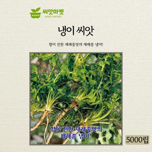 KS종묘 냉이 씨앗 5000립 향이 진하고 뿌리 발육이 좋은 국내산 재래종 고급 품종 종자