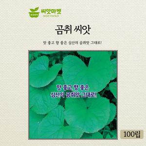 KS종묘 곰취 씨앗 100립 맛 좋고 향 좋은 심산의 곰취맛 재래종 국내산 고급 품종 종자
