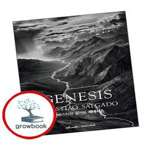 GENESIS 세바스티앙 살가도 제네시스 GENESIS세바스티앙살가도제네시스 책