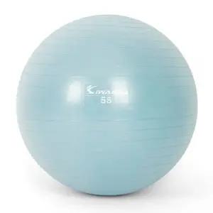 [헬스케어]다이어트짐볼 마사지볼 55cm 더스티 마사지짐볼 블루