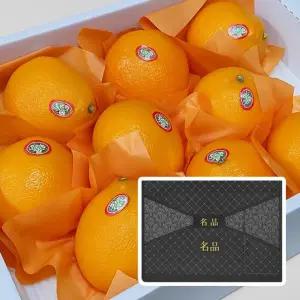 제주 황금향 고급 선물세트 대과 5kg