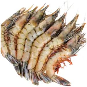 어부백서 자연산 대하 가을 대하 왕 새우 급속동결 1kg 35미 전후