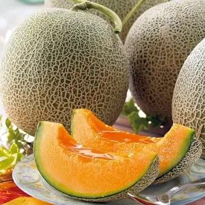 금산 레드 멜론 8kg 4-8수입 +보자기 레드 메론 주황메론 주황멜론 노란메론 노란멜론 부모님 추석선물