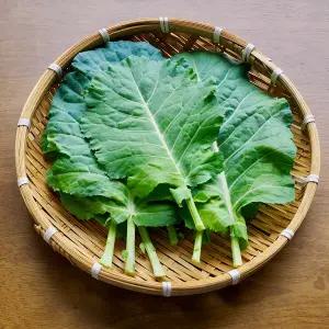 유기농 즙용 케일 1kg