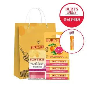 버츠비 립밤X3+립 트리트먼트