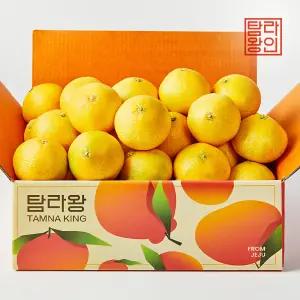 [탐라왕] 고당도 제주 황금향 4kg 대과(12-15과)