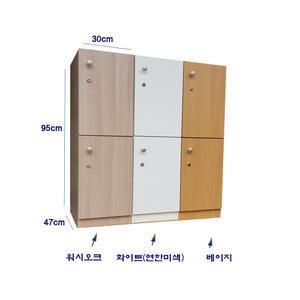 사물함2인용 사물함 라카장 보관함 옷장 신발장 개인수납장