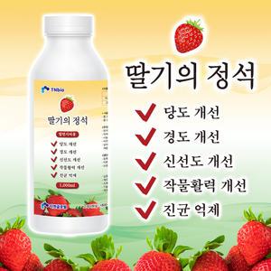 딸기의 정석 1L 딸기비료 거름 영양제 퇴비 키우기 당도 경도 설향 매향 죽향 금실 킹스베리