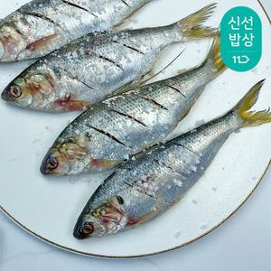 [도리마켓] 2025년 첫 출하 국내산 햇 급냉 전어 1kg (15미 내외)