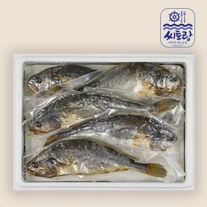 [씨토랑]법성포 부세보리굴비 진공팩 10미/28~30cm
