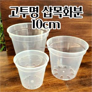 고투명 삽목화분 뿌리내림도움 플라스틱 표준형 10CM 알뜰한 깔끔하고편리 육묘 구멍있는