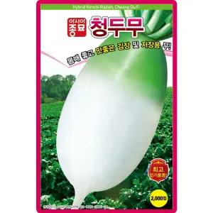 아시아종묘 청두무 씨앗 2000립 가을 김장무씨 종자