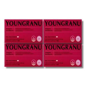 영라뉴 장용성 파비플로라 PRO 440mg x 14캡슐 4박스