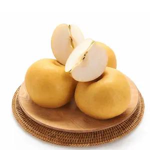 25년 햇 나주 배 가정용 3kg 5kg
