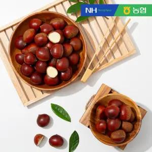 [농협] 속이 꽉찬 순창 햇 알밤(특품) 10kg / 꿀밤 / 맛밤 / 공주밤 / 정안밤 / 옥광밤