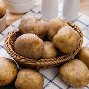 25년수확 국내산 수미감자 10kg (중)