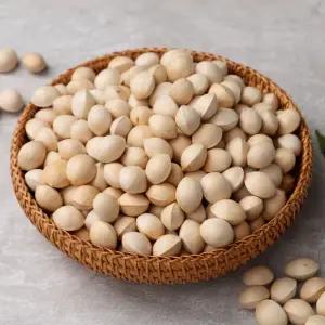 보은 황토 피은행 1kg 중/대/특대 (껍질 있음)