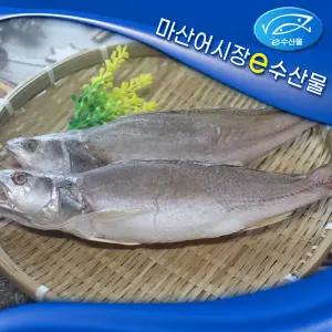 e수산물 반건조 민어조기 2마리 맛있는 민어조기 중 2마리 28cm 마른생선 제수용 말린생선