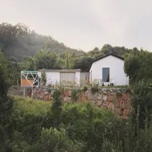 [경산 펜션] 경산 토끼집스테이 (경북 여행)