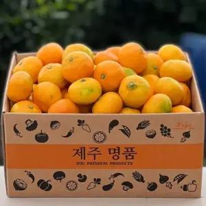 싱싱햇 제주 제주도 하우스 귤 감귤 2.5kg