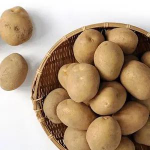 수미감자 중 5kg (50~70g 내외)