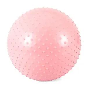 아이워너 짐볼 마사지짐볼 65cm (베이비 핑크) 마사지볼 마사지짐볼 (WFK5PHI)