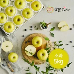 [롯데백화점]장길영사과 [장길영사과] 황금사과 시나노골드 소과 5kg(20-23과)